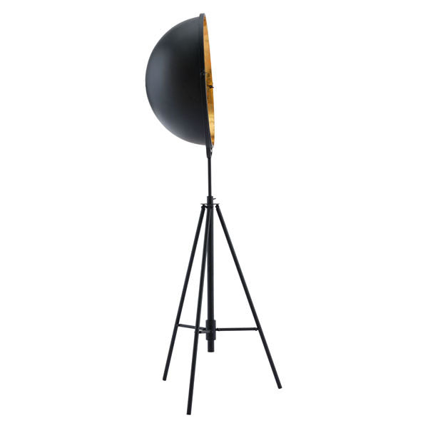 Phoenix Floor Lamp