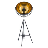 Phoenix Floor Lamp