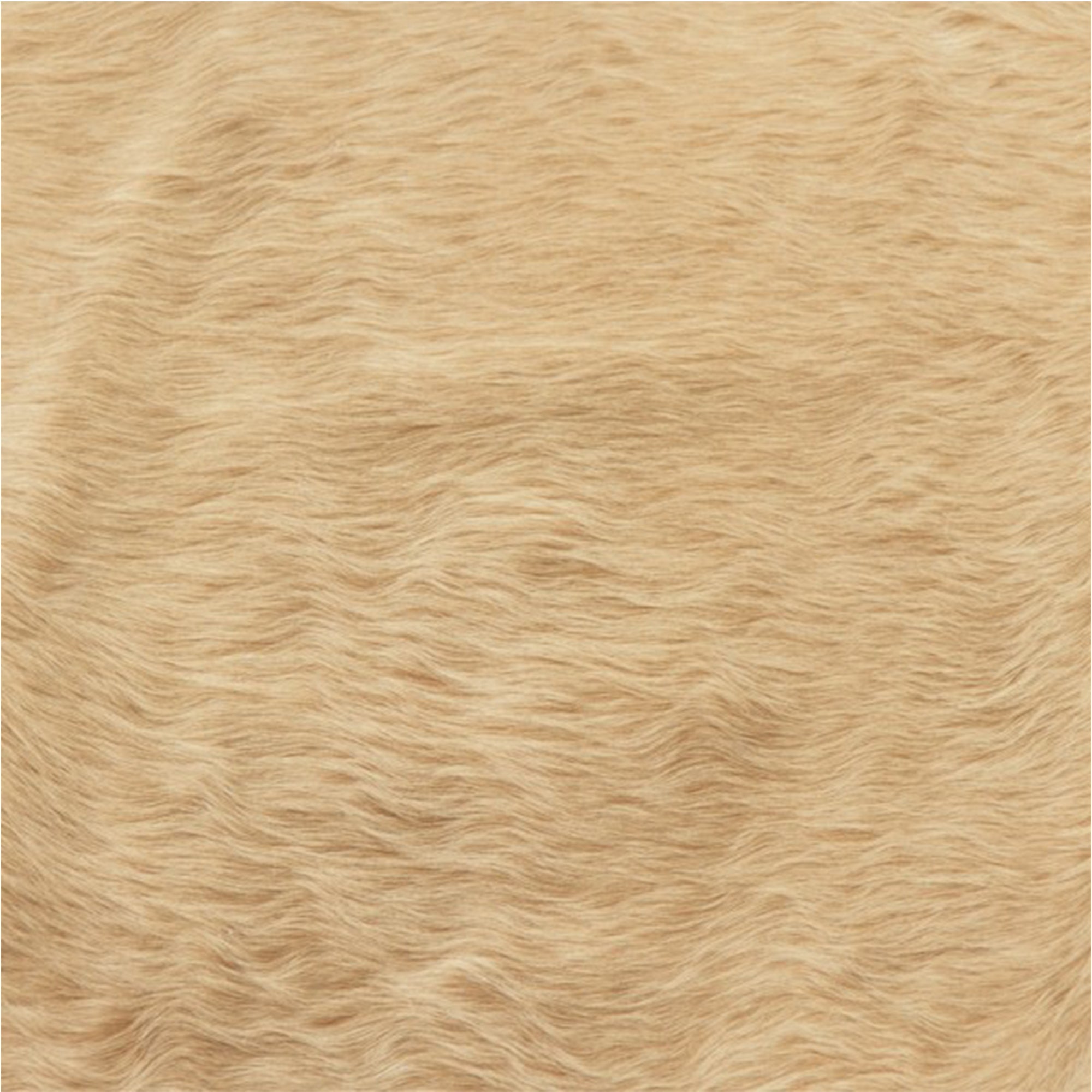 Darya Brazilian Cowhide