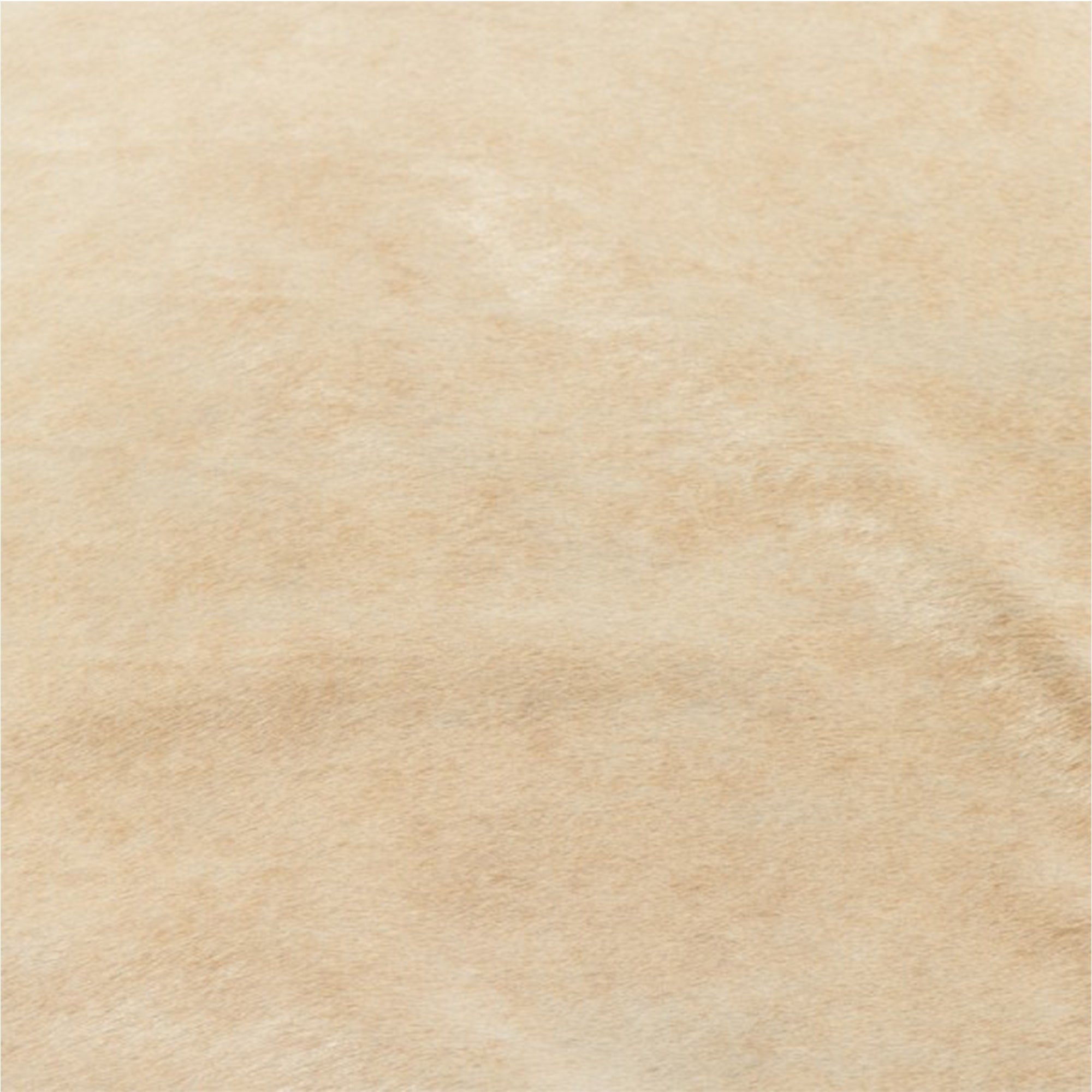 Darya Brazilian Cowhide