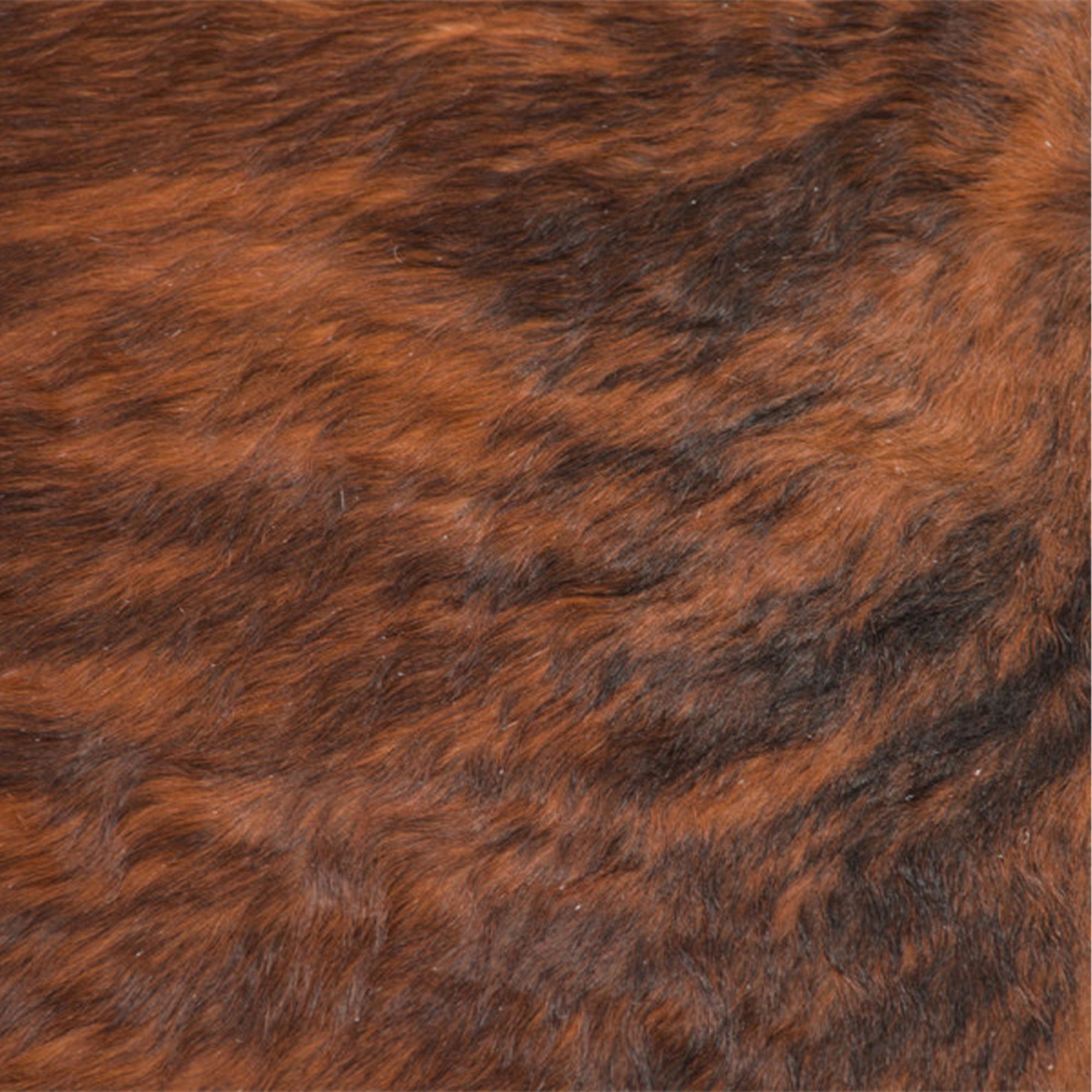 Finley Brazilian Cowhide