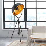 Phoenix Floor Lamp